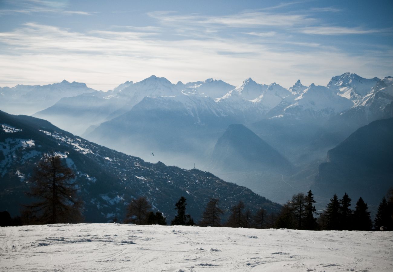 Umgebung Chalet Haute Vue in Veysonnaz, Schweiz