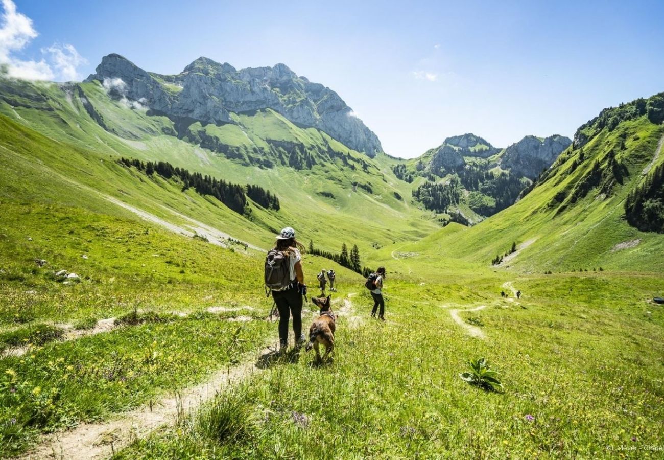 Ferienwohnung in Châtel - Voinettes B5 VNB5 TELECABINE & MOUNTAIN 4 Pers