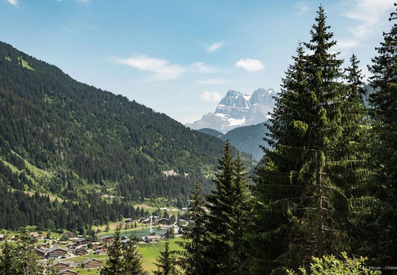 Umgebung Wohnung VOINETTES VNB2 in Châtel in Frankreich