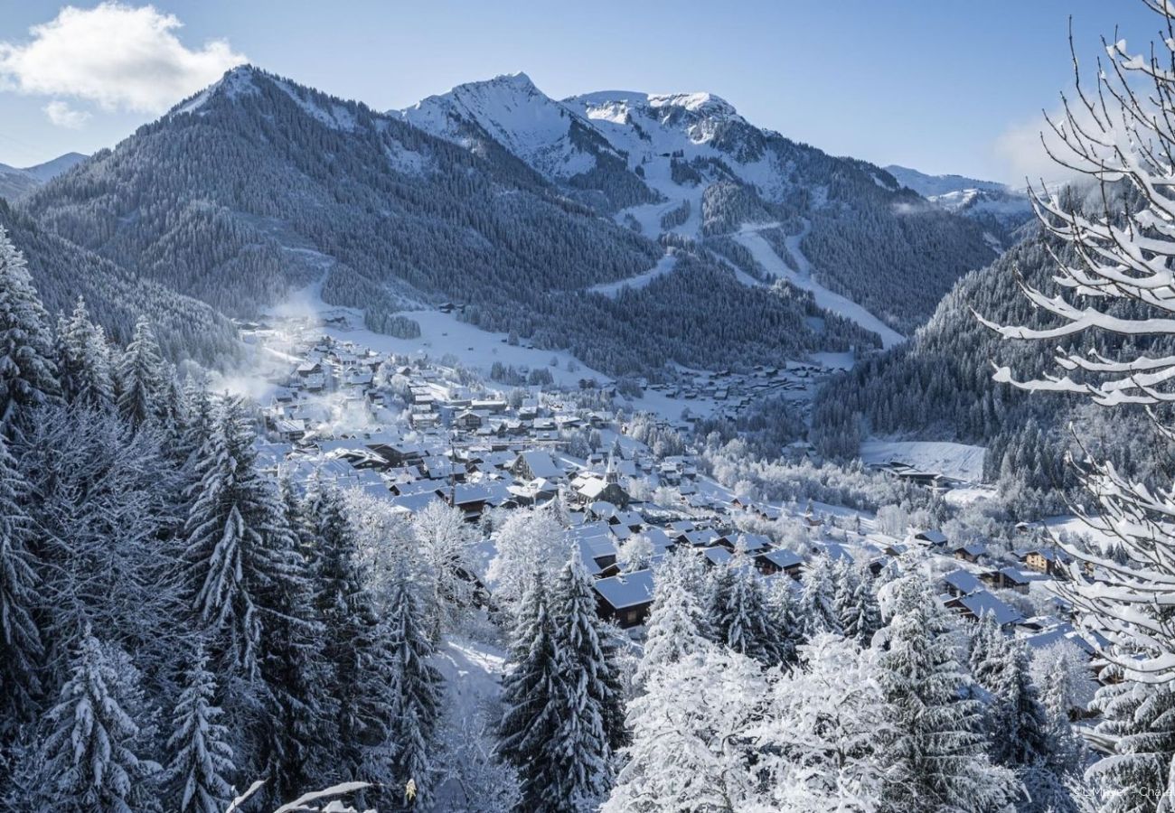 Umgebung Wohnung VOINETTES VNB2 in Châtel in Frankreich