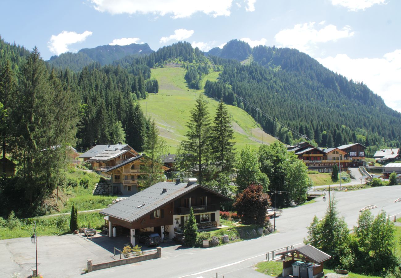 Blick Wohnung Mühle ML174 in Châtel, Frankreich