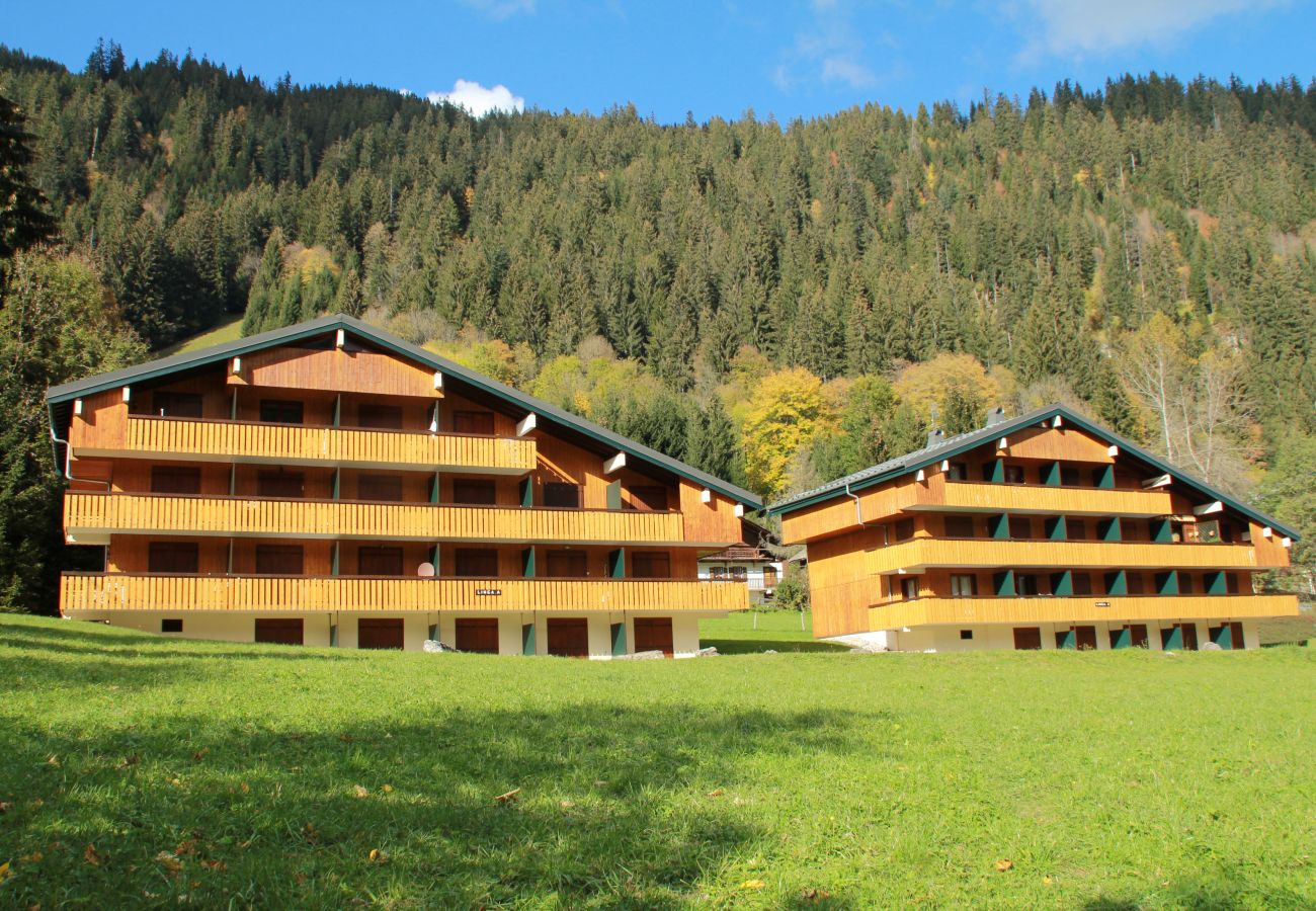 Ferienwohnung in Châtel - Le Linga LGB203 TELECABINE & MOUNTAIN 4 Pers