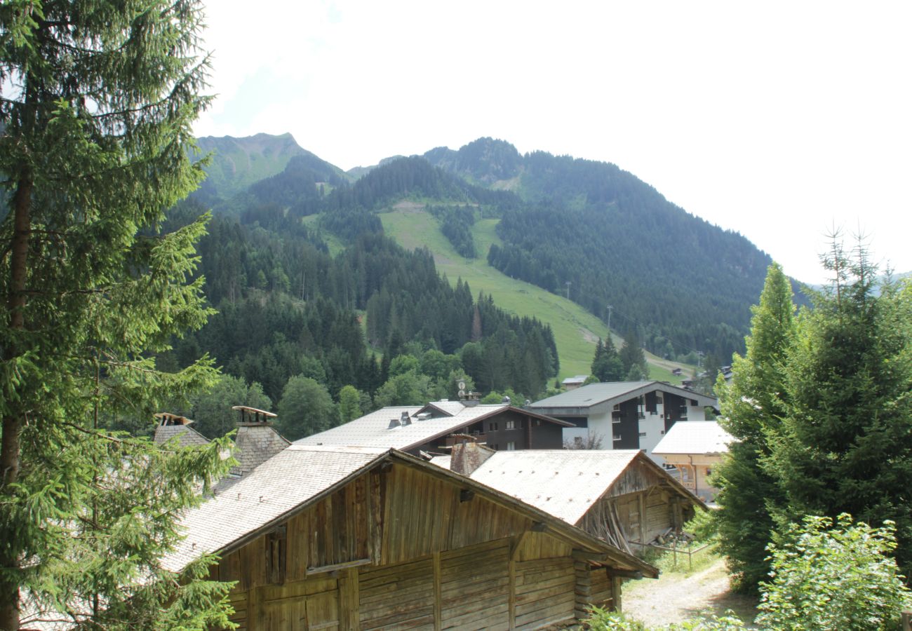 Blick Wohnung VOINETTES VNB3 in Châtel in Frankreich 