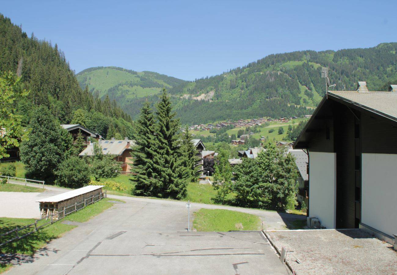 Blick Wohnung Mühle ML175 in Châtel, Frankreich