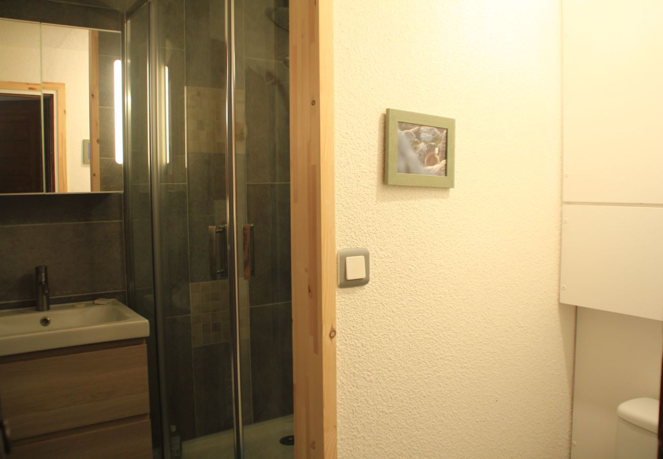 Badezimmer, Wohnung AGE11 in Châtel in Frankreich