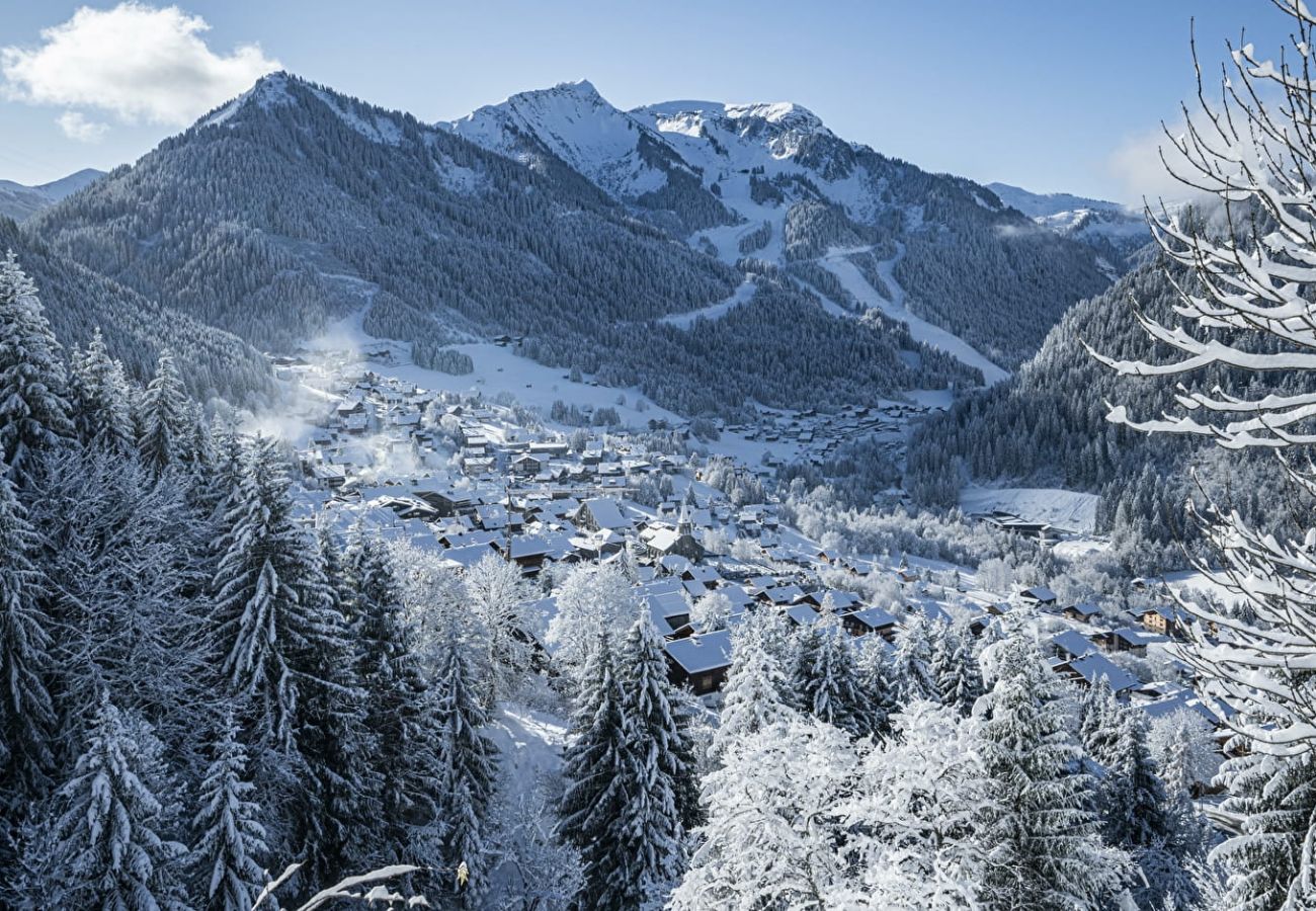 Umgebung Apartment Hameau des 4 Saisons HSG226 in Châtel, Frankreich