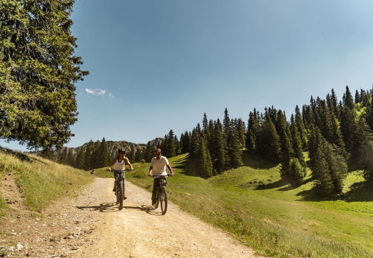 Studio in Châtel - TARTIFLES TF11 NATURE & MOUNTAIN 4 Pers.