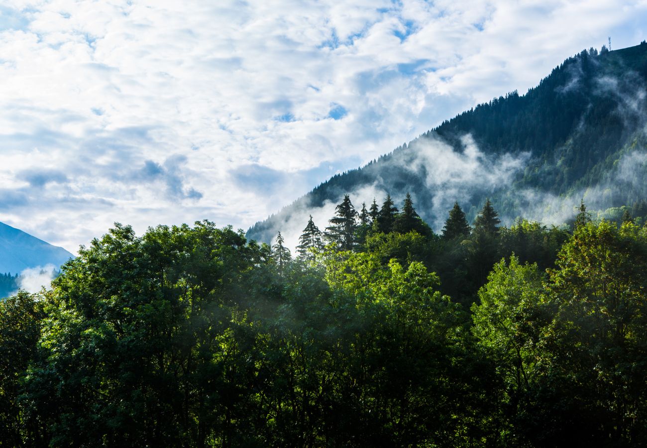 Ferienwohnung in Abondance - Chalet Drozin - Auvents MOUNTAIN & COSY 12 pers.