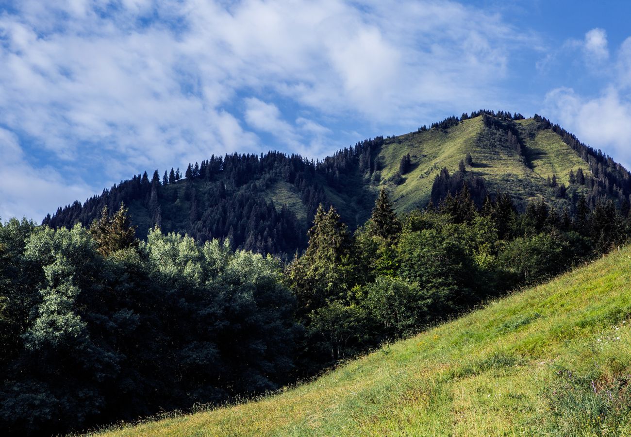 Ferienwohnung in Abondance - Chalet Drozin - Auvents MOUNTAIN & COSY 12 pers.