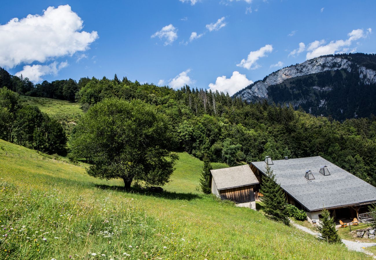 Ferienwohnung in Abondance - Chalet Drozin - Auvents MOUNTAIN & COSY 12 pers.