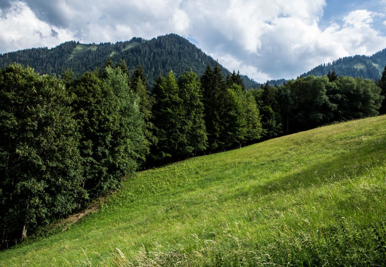 Ferienwohnung in Abondance - Chalet Drozin - Auvents MOUNTAIN & COSY 12 pers.