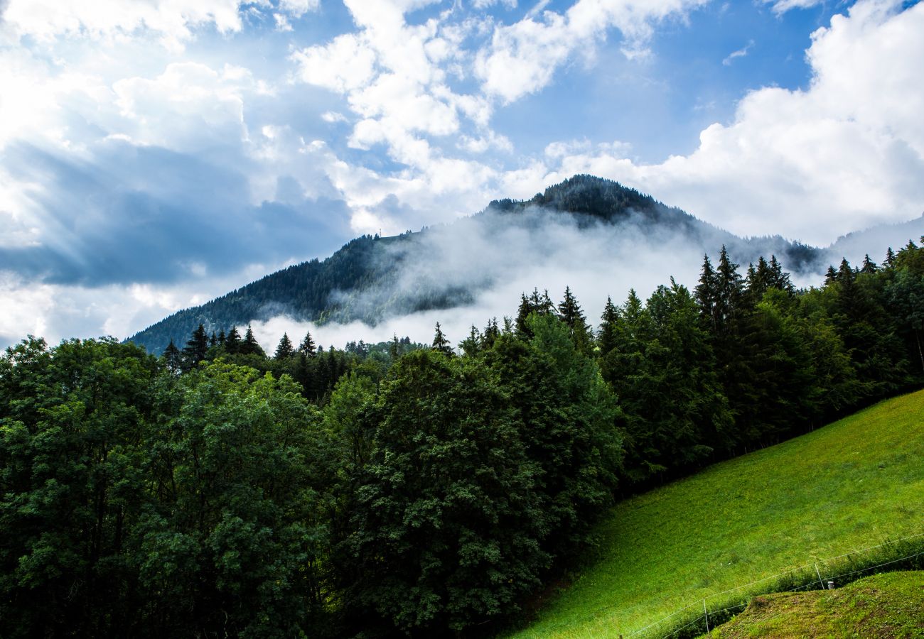 Ferienwohnung in Abondance - Chalet Drozin - Fenil LUXE & COZY 11 pers.