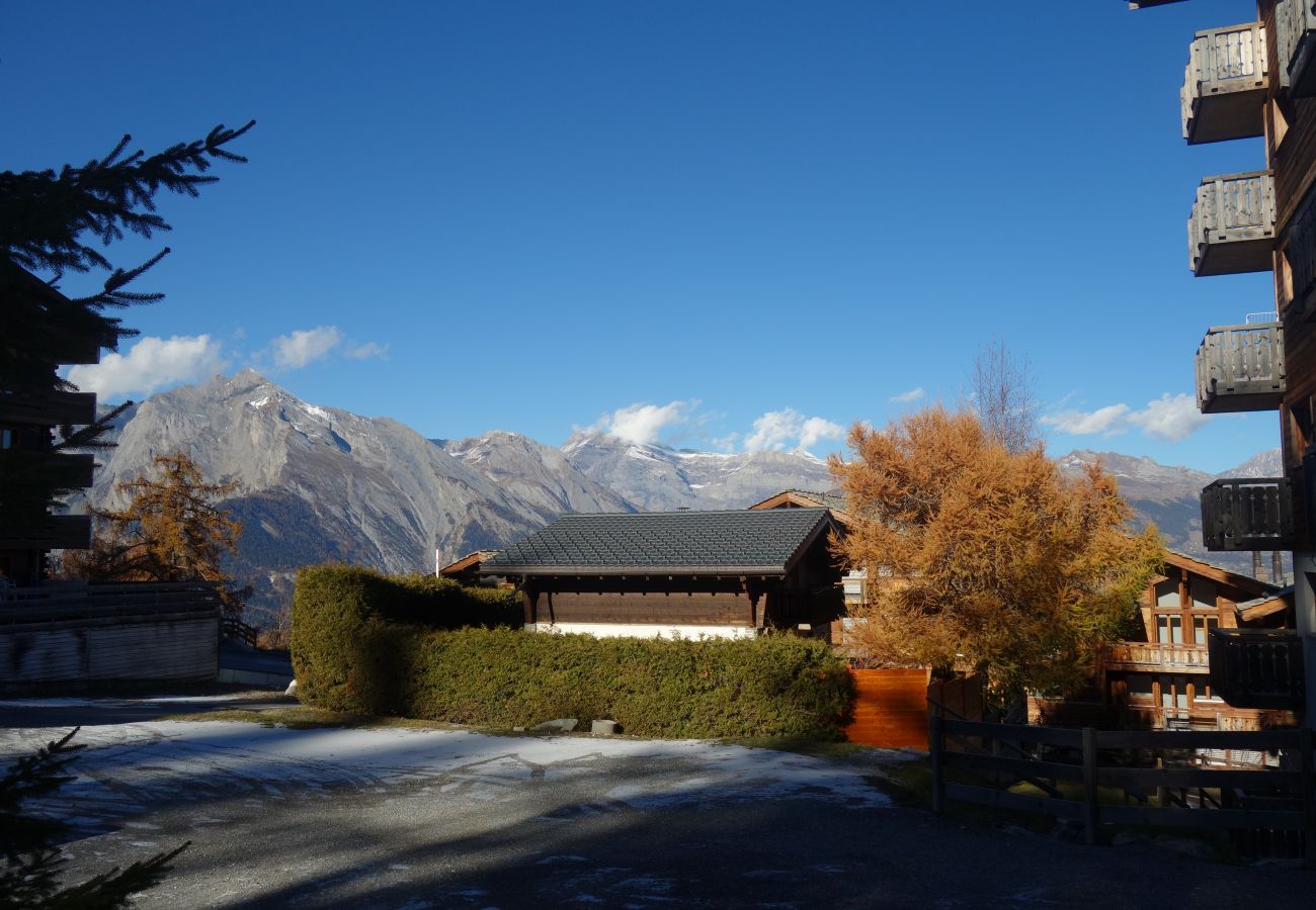 Appartement in Haute-Nendaz - Pracondu 2 205 - OUTDOOR & FUN  charming apartment