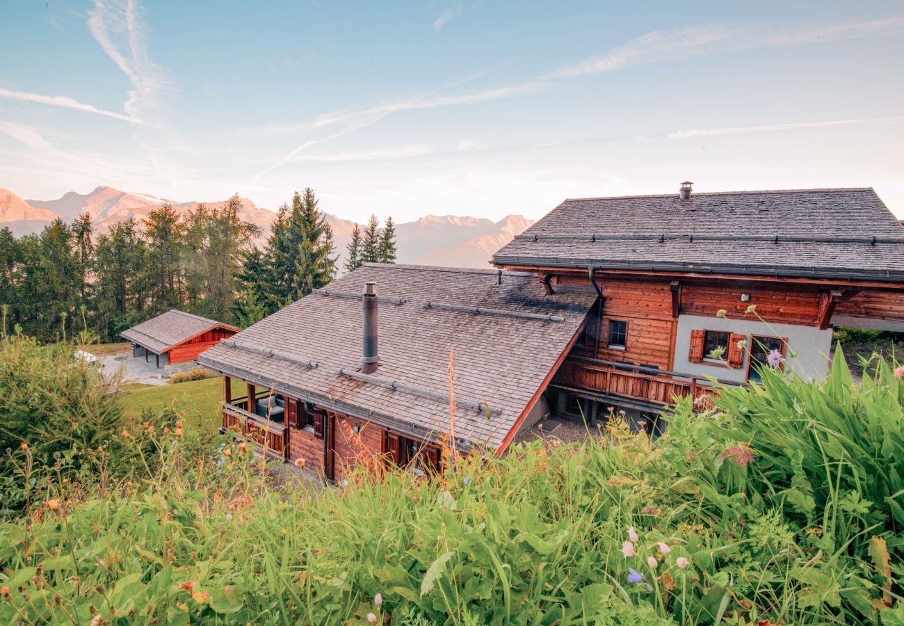 Chalet in Veysonnaz - Chalet Dragon WELLNESS & LUXURY 12 pers