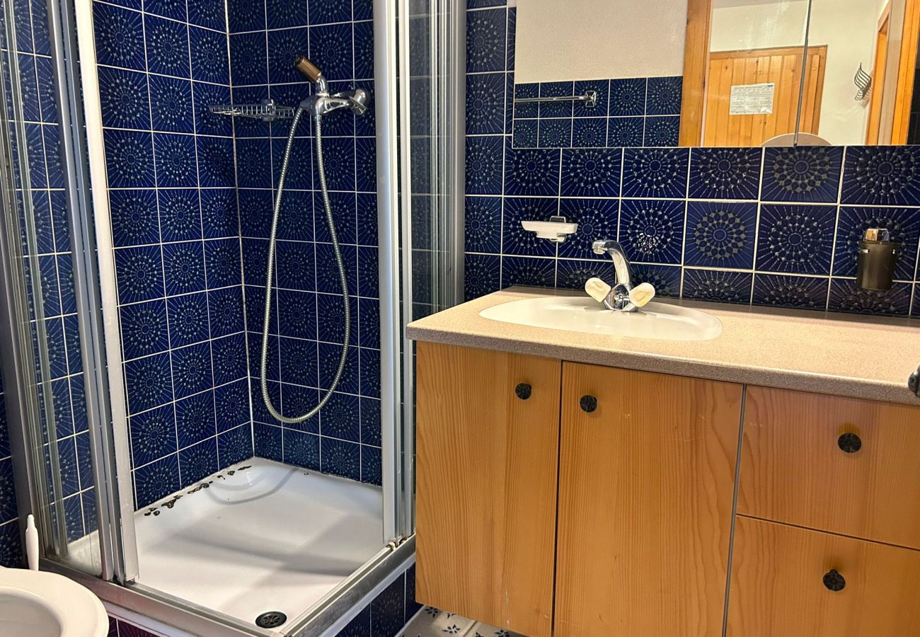 Salle de bain Appartement Diablerets D 010, à Veysonnaz en Suisse