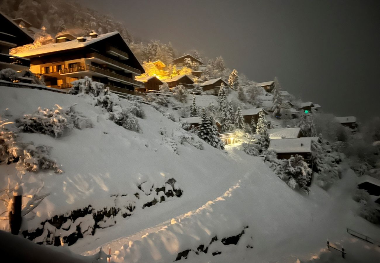 Environnement Appartement Crêtes X2 232, à Veysonnaz en Suisse