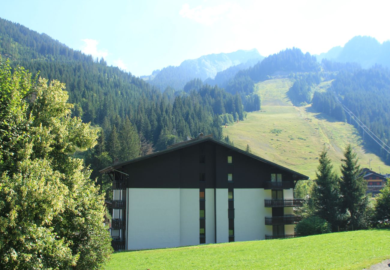 Vue Appartement Le Linga LGB203 à Chatel en France