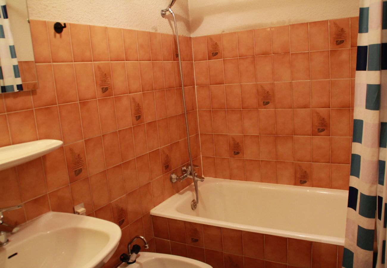 Salle de bain Appartement Moulin ML149 à Châtel, en France