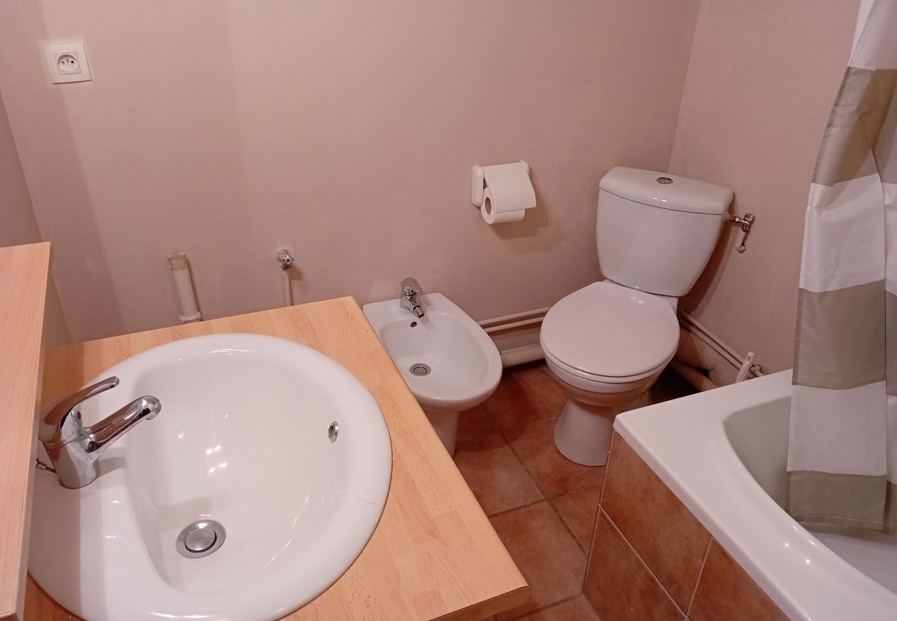 Salle de bain Appartement Terrasses D 309 à Termignon en France 