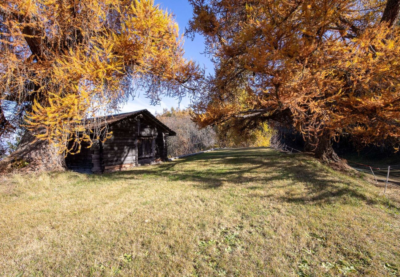 Chalet à Les Mayens-de-Sion - Supersaxo QUIET & CHARMING chalet 8 pers