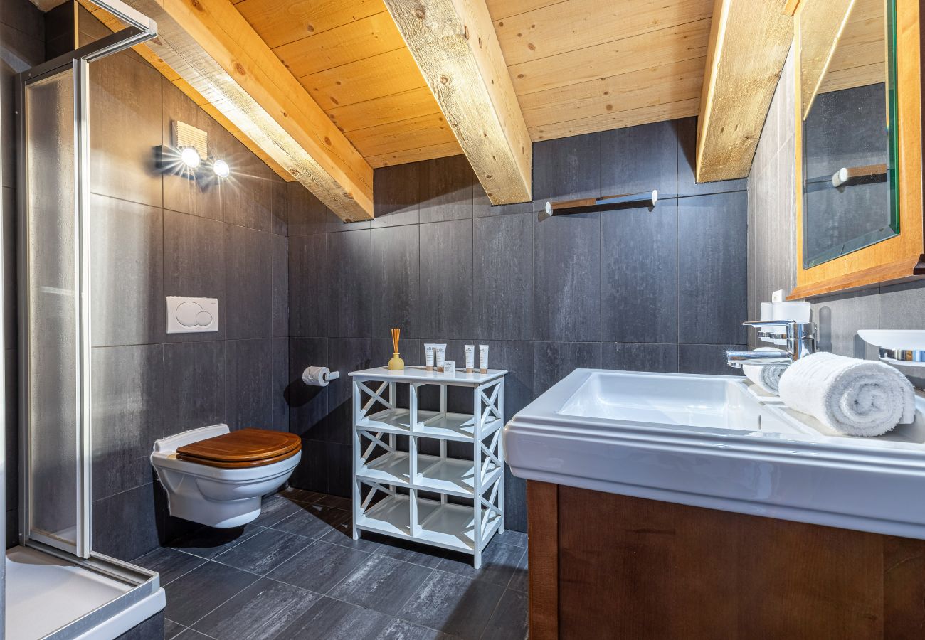 Chalet in Haute-Nendaz - Appaloosa - FABULOUS & LUXE chalet 12 pers