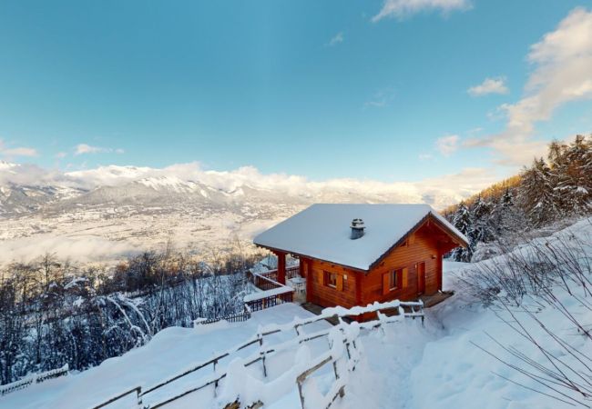 Villa in Salins - Fontannets 004 COSY & MOUNTAIN chalet 10 pers