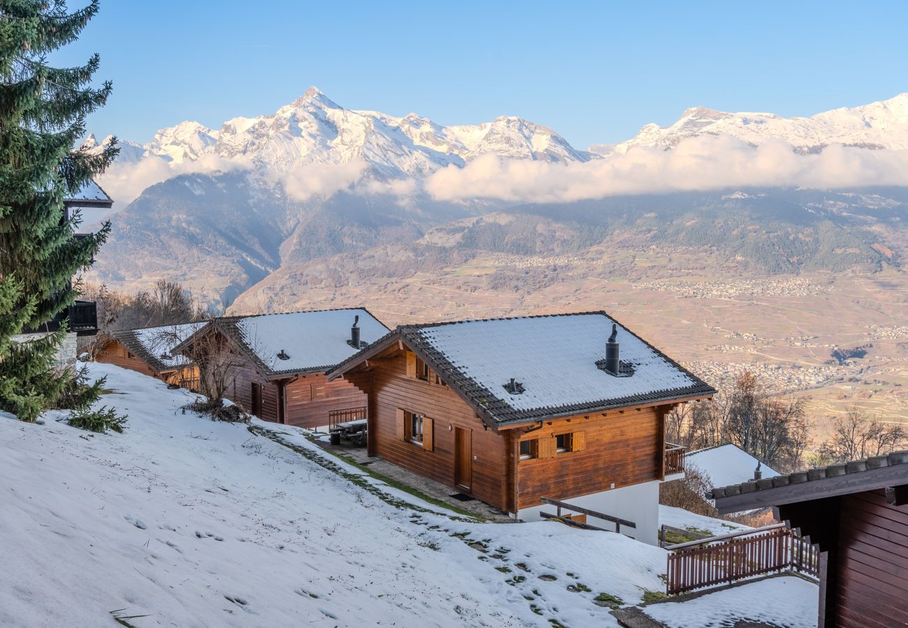 Chalet in Salins - Fontannets 008 QUIET & SUPERIOR chalet 10 pers