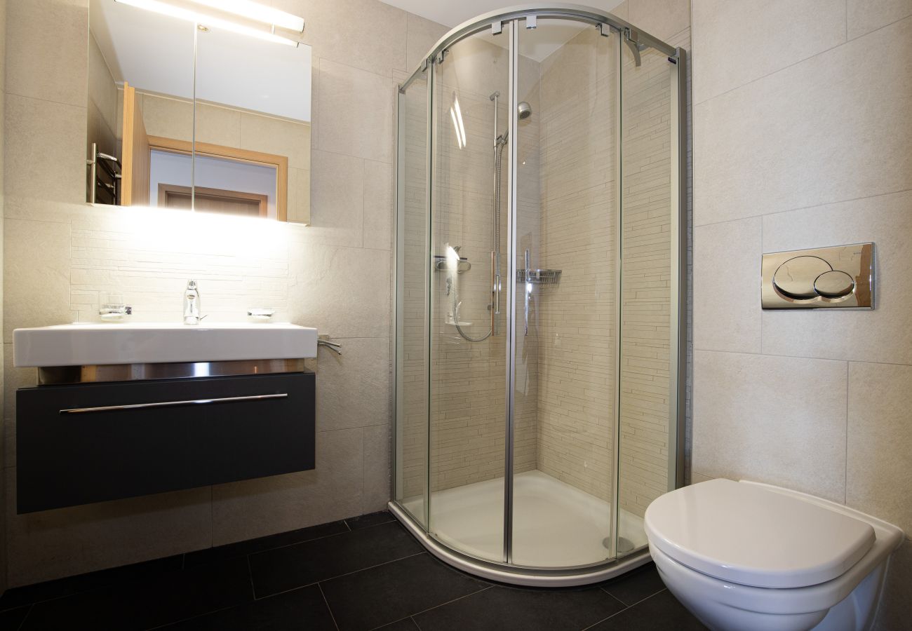 Bathroom Apartment SP 011 in Veysonnaz, Switzerland