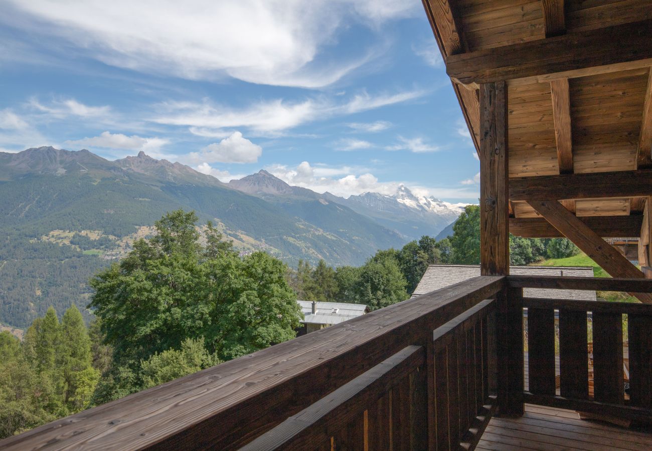 Chalet in Les Masses - Base Camp COSY chalet 4 personnes