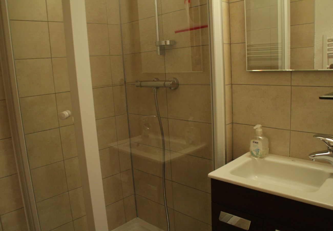 Shower room Apartment VOINETTES VNB2 in Châtel in France