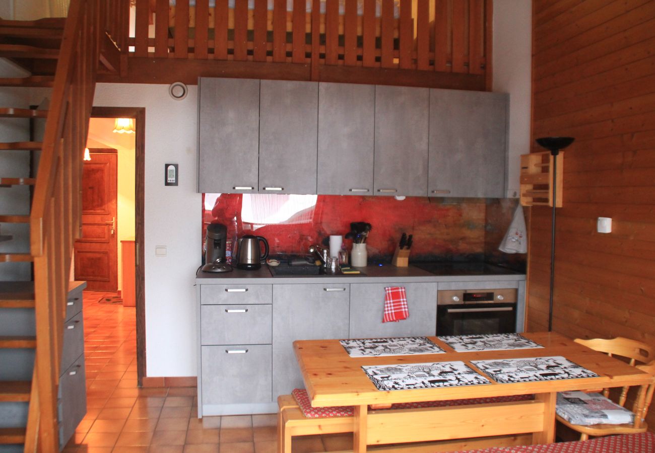 Kitchen, apartment AP117 in Châtel in France