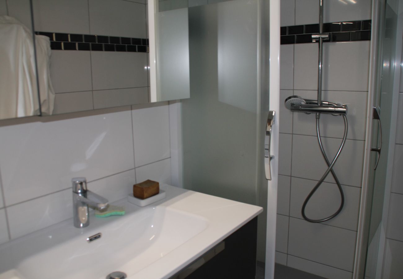 Bathroom Apartment GNA15 in Châtel, France