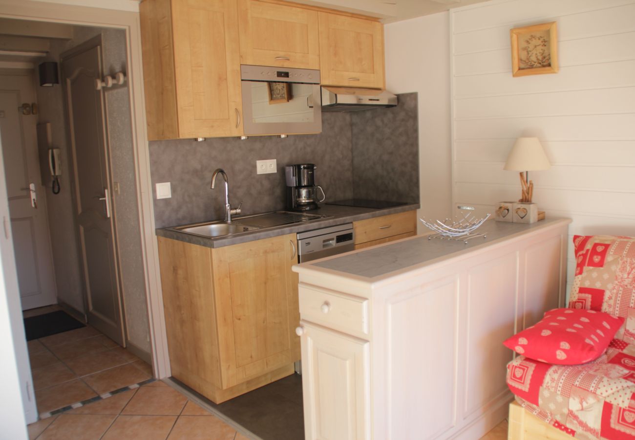 Kitchen, FMA23 apartment in Châtel in France