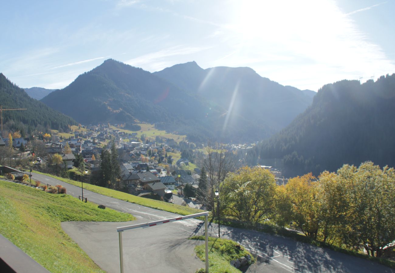 Views Apartment Hameau des 4 saisons HSE89 in Châtel, France