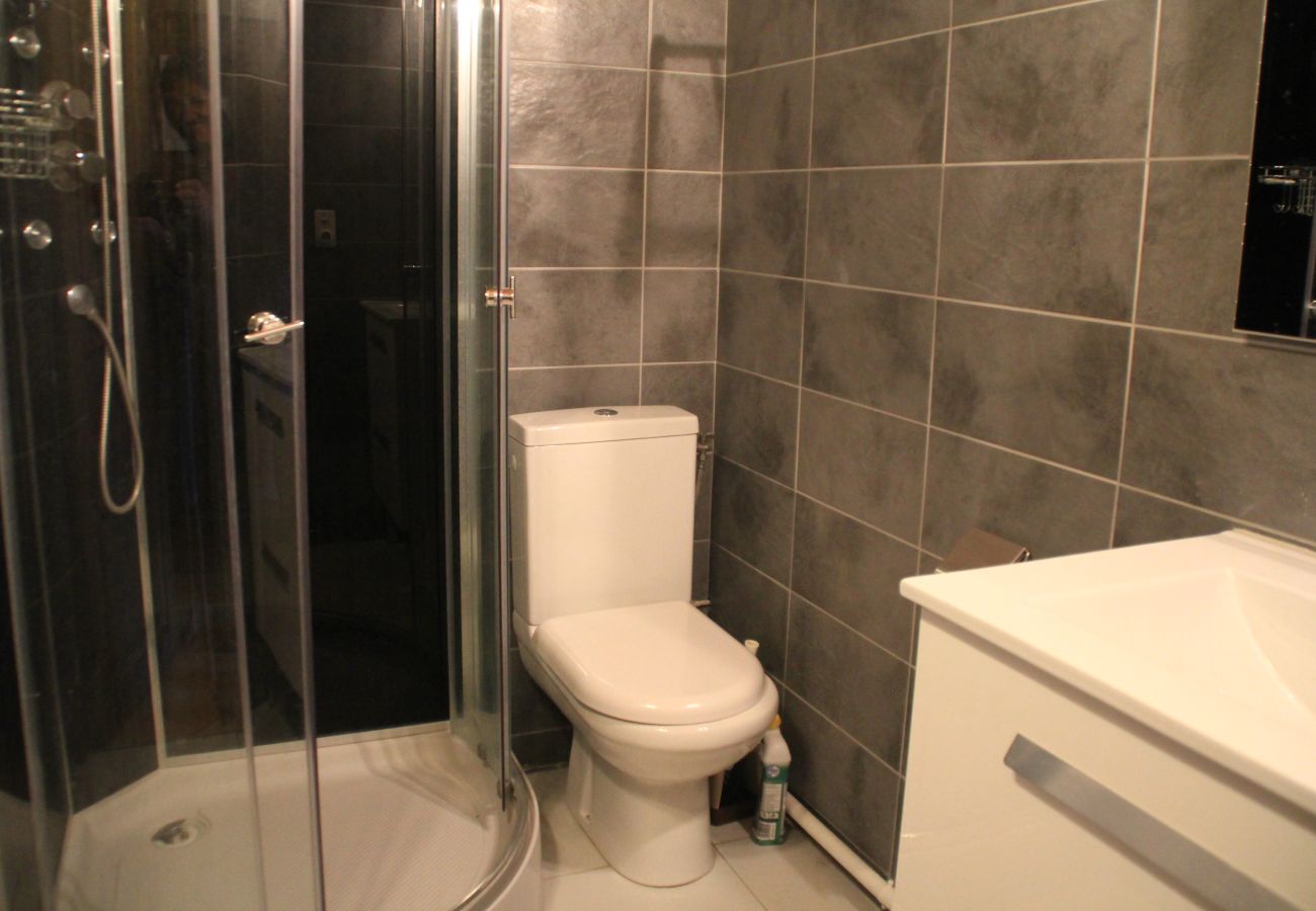 Bathroom in the Moulin ML184 flat in Châtel, France 